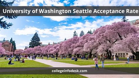 city university of seattle ranking|university of seattle acceptance rate.